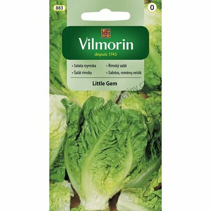 Vilmorin CLASSIC Salát římský LITTLE GEM - časný 0,5 g
